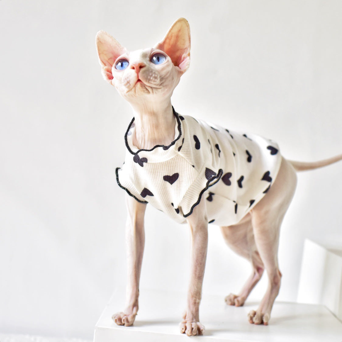 KFX-8357437 Summer Sleeveless Cat Vest in Various Colors - Rubber Material for Warmth