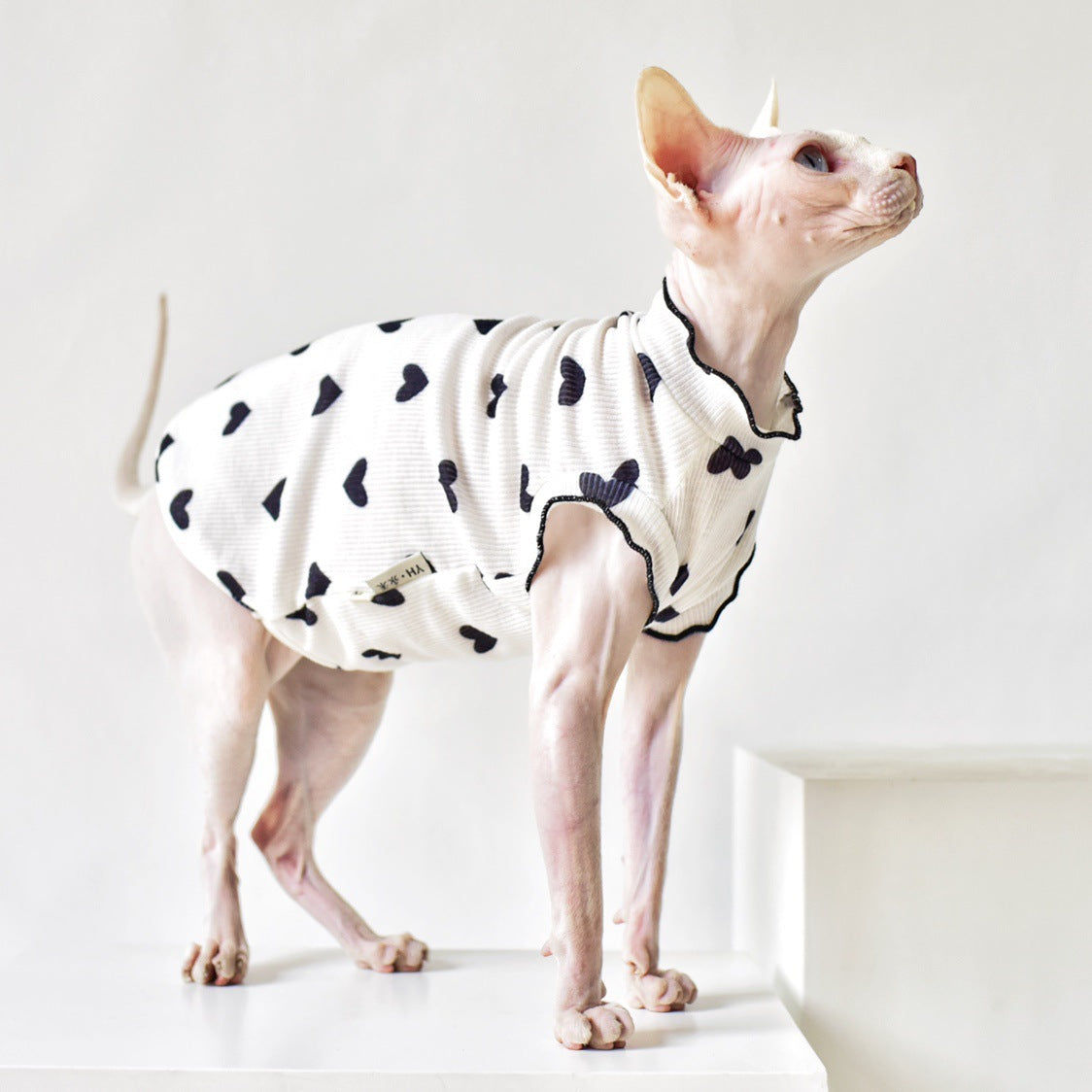 KFX-8357437 Summer Sleeveless Cat Vest in Various Colors - Rubber Material for Warmth