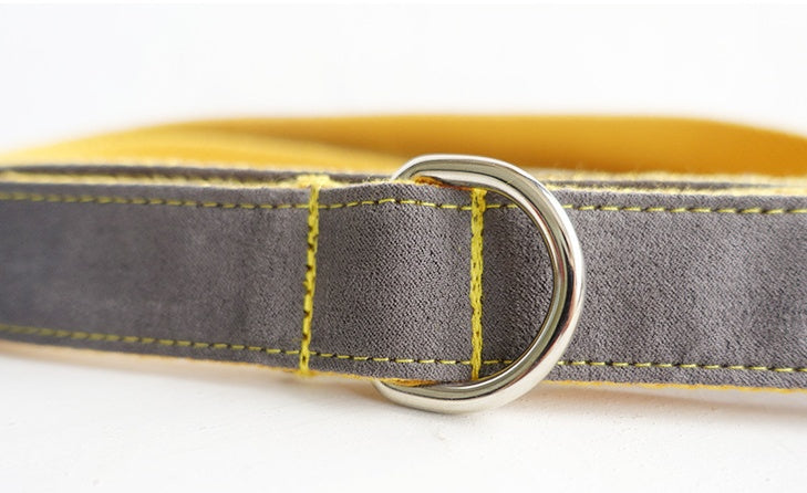 KFX-8360637 Light Blue and Yellow Medium to Large Dog Traction Collar and Rope Set
