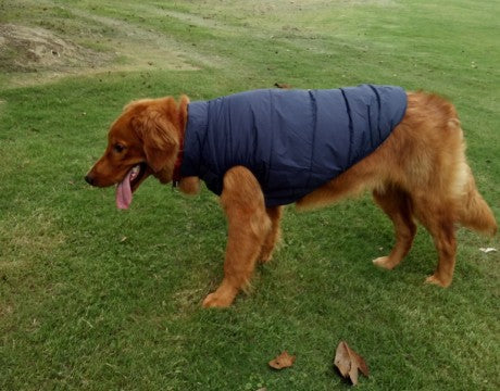KFX-8361021 Warm Waterproof Dog Jacket for Autumn and Winter Outdoor Adventures