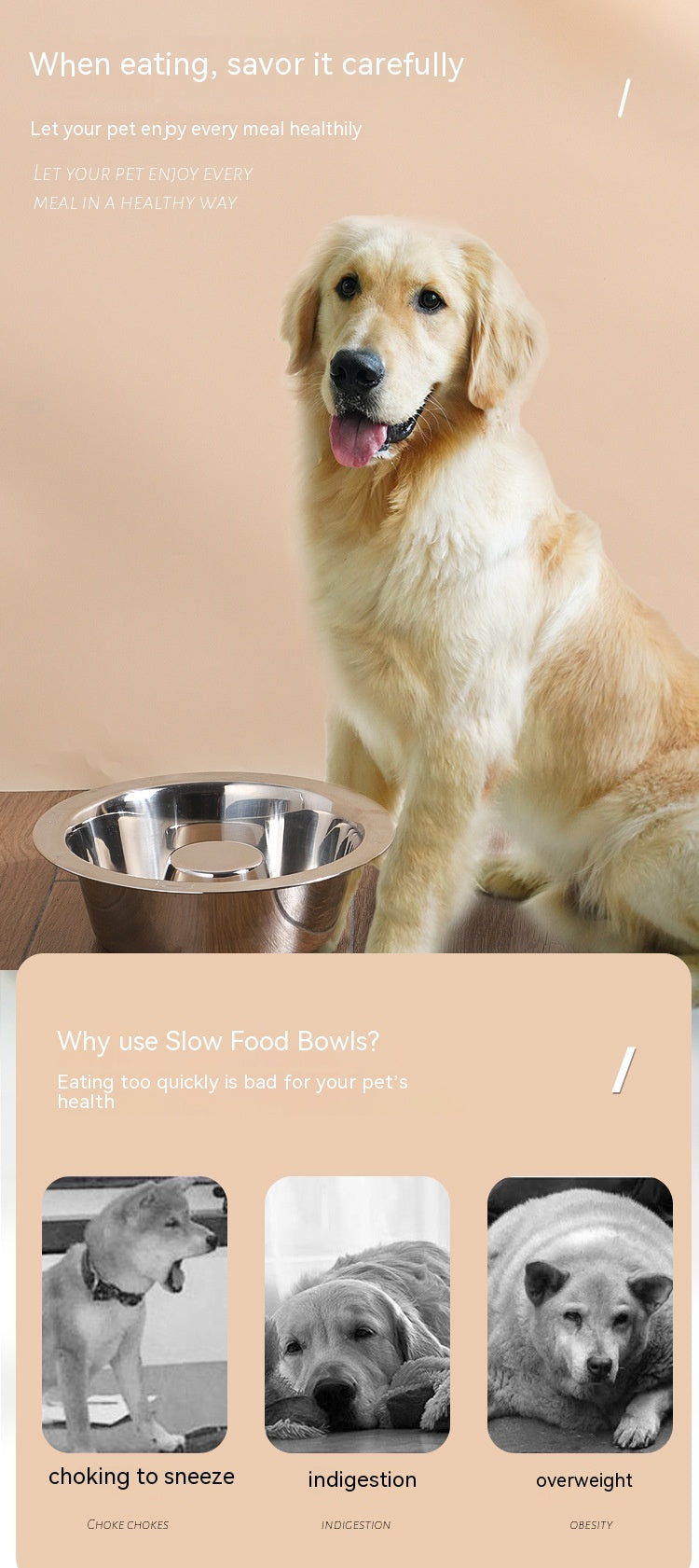 KFX-8368573 Stainless Steel Pet Slow Food Bowl for Cats - Multiple Sizes Available