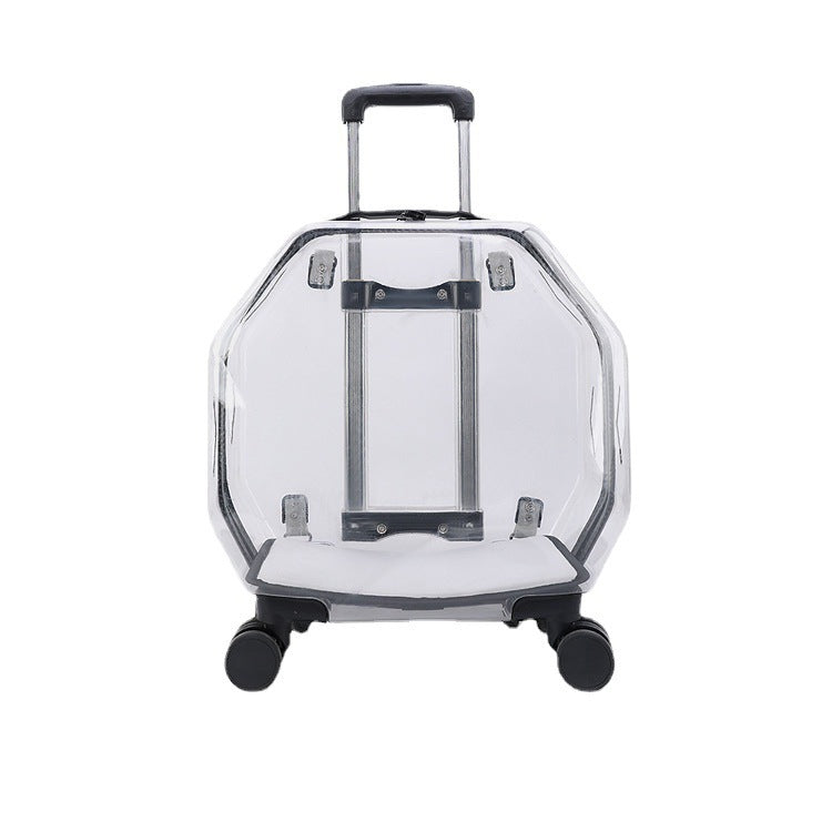 KFX-8368829 Translucent Cartoon Pet Backpack with Ventilation for Dogs and Cats - 10kg Capacity