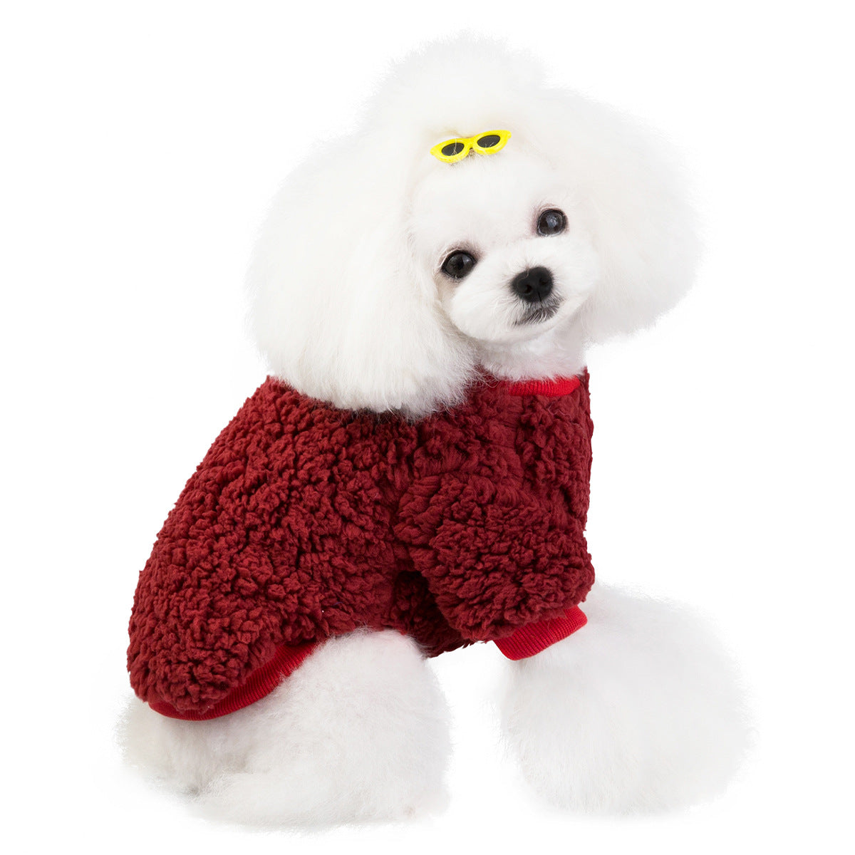 KFX-8372925 Stylish Velvet Coat for Pets - Autumn & Winter - Available in Various Colors and Sizes