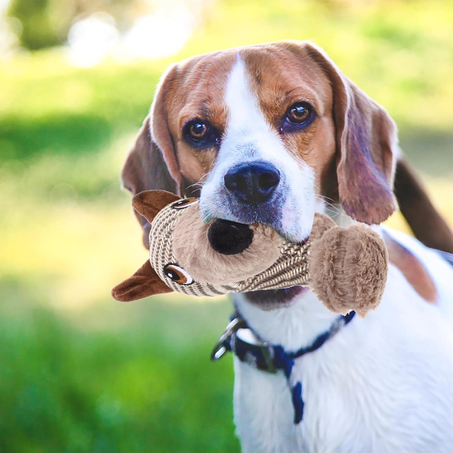 KFX-8375613 Large Plush Dog Squeaky Toy for Interactive Chewing Fun and Bonding - Ideal for Medium to Large Dogs