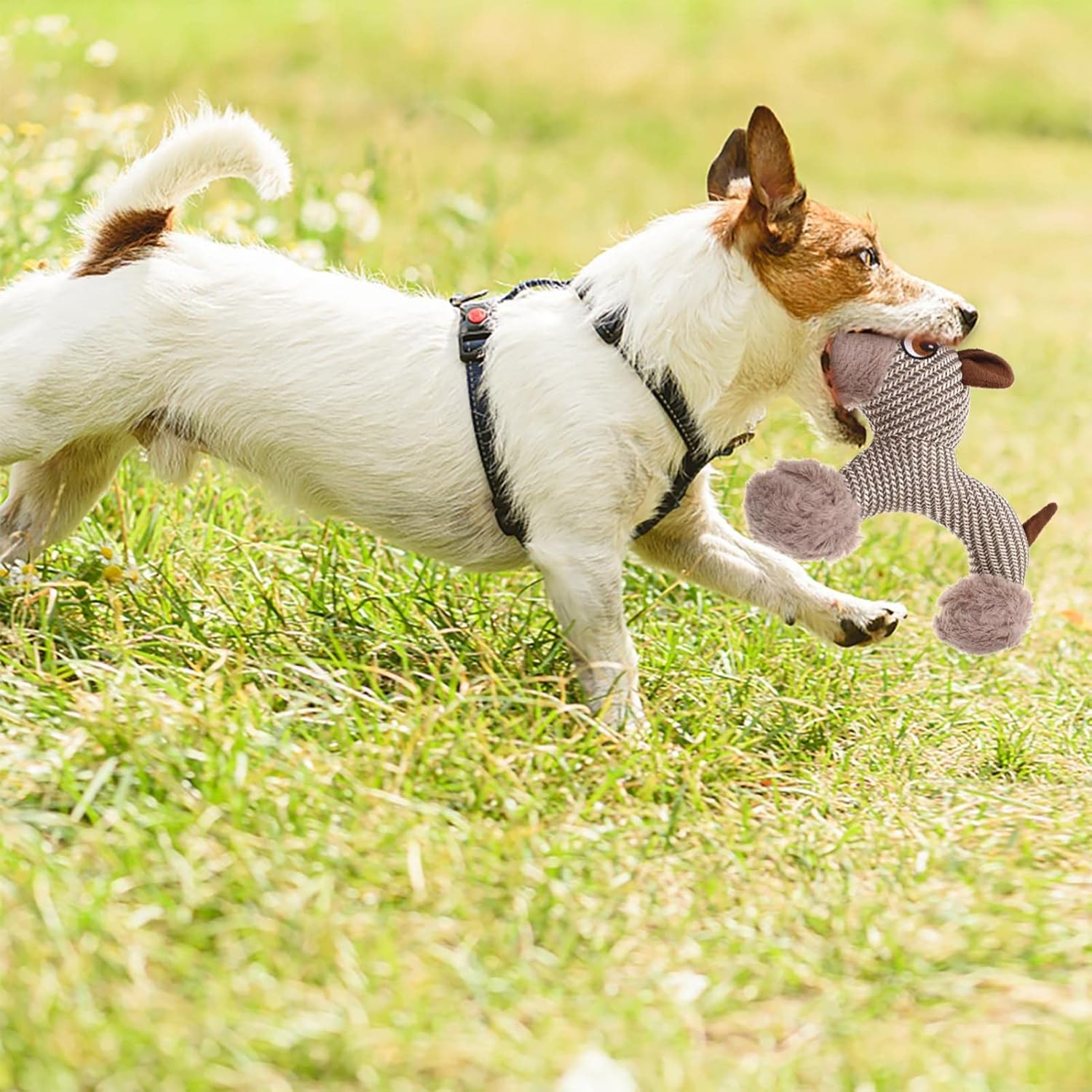 KFX-8375613 Large Plush Dog Squeaky Toy for Interactive Chewing Fun and Bonding - Ideal for Medium to Large Dogs