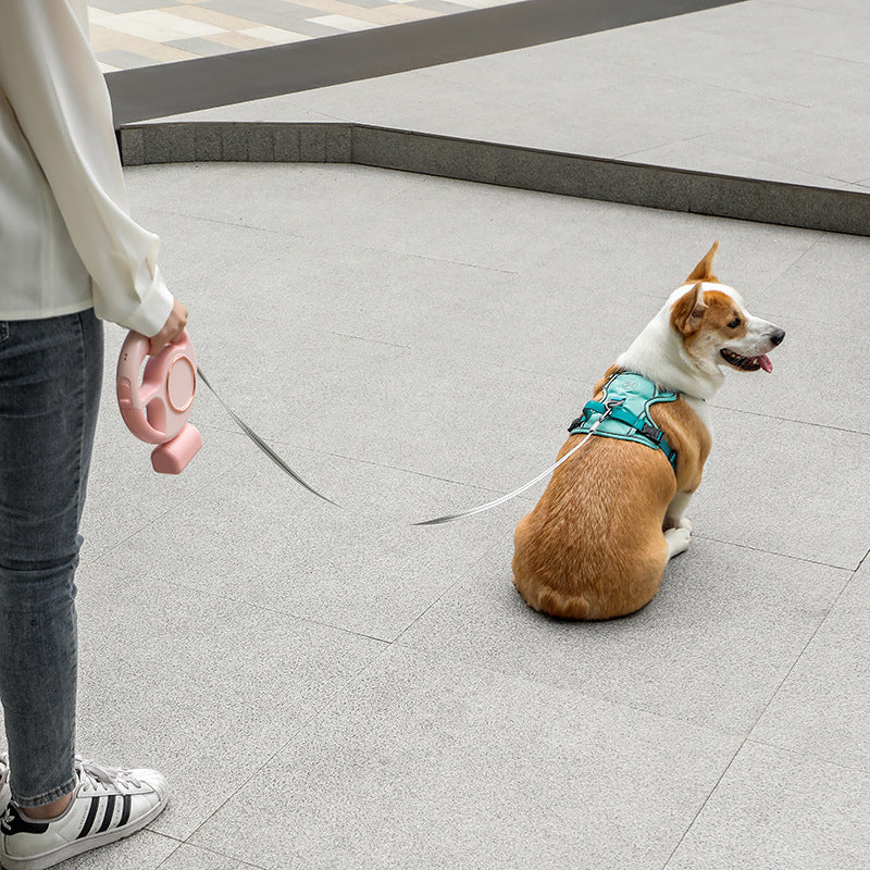 KFX-8377917 Automatic Retractable LED Dog Leash with Hand Grip - Pink and Light Gray, 201.8mm Length
