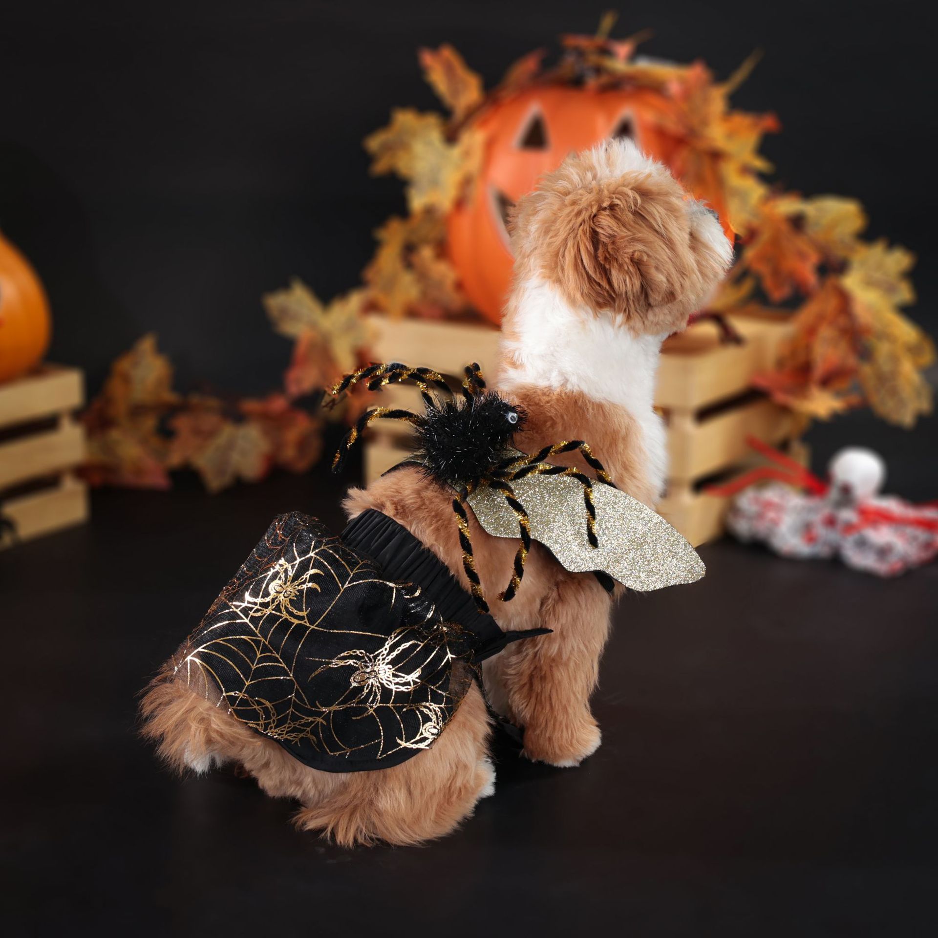 KFX-8391229 Halloween Dog Costume – Spooky Fun Pet Outfit in Various Sizes
