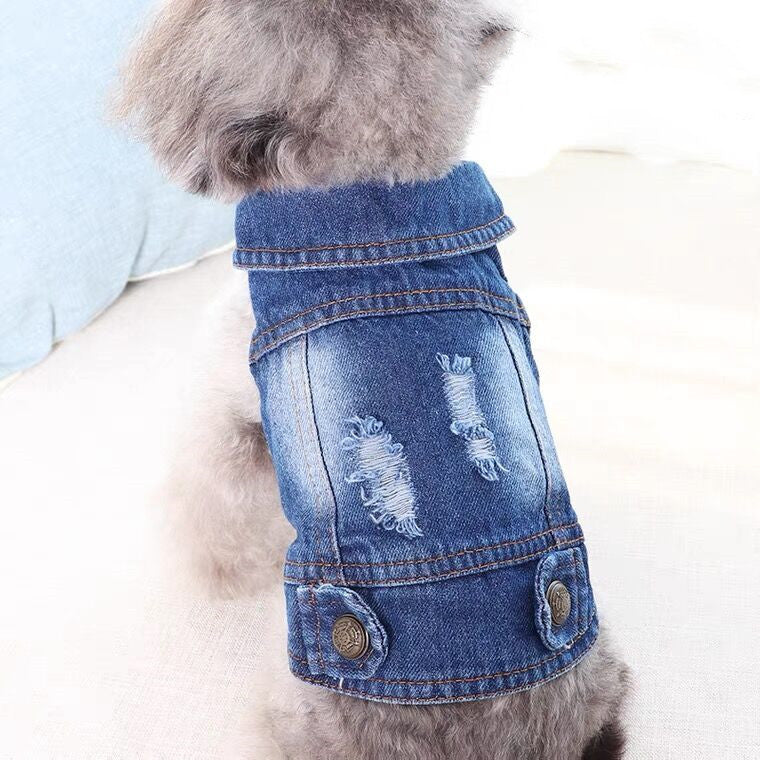 KFX-8391997 Stylish Denim Vest for Small Pets – Casual Four Seasons Apparel