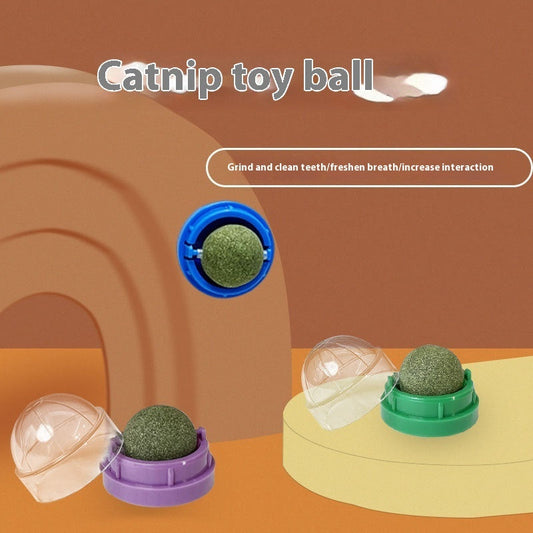 KFX-8392253 Catnip Ball Toy for Cats - Molar Teeth Cleaning, Bite-Resistant, with Avocado Mint & Cheese Flavors