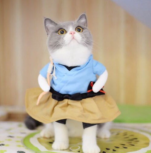 KFX-8393789 Cat Cosplay Outfit - Funny Costume Uniform Suit for Pets, Neck 20-38cm, Bust 28-57cm