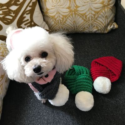 KFX-8396989 Wool Pet Scarf for Cats and Dogs - Casual Style, M & XL Sizes Available