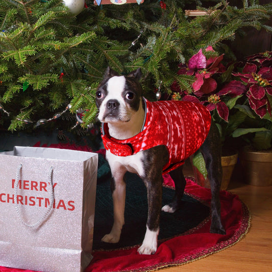 KFX-8397757 Double-Sided Christmas Polar Fleece Dog Jacket in Blue and Red, Sizes XS to XXL