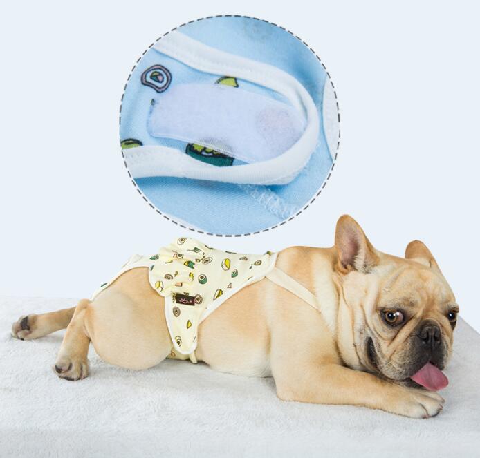 KFX-8404413 Physiological Cotton Pants for Dogs, Stylish Casual Wear in Yellow and Blue