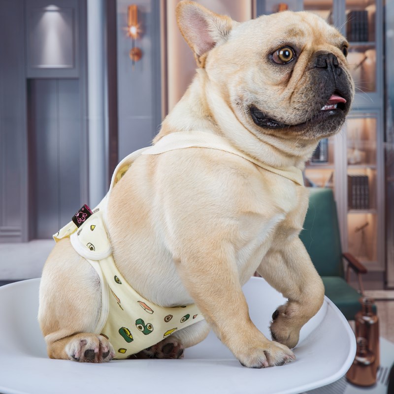 KFX-8404413 Physiological Cotton Pants for Dogs, Stylish Casual Wear in Yellow and Blue