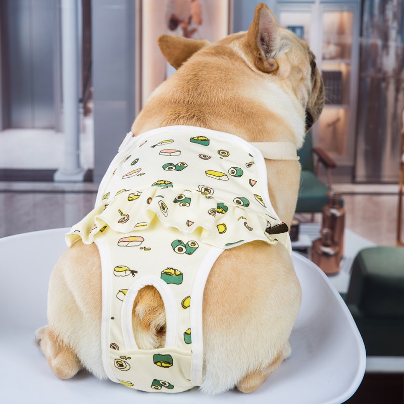 KFX-8404413 Physiological Cotton Pants for Dogs, Stylish Casual Wear in Yellow and Blue
