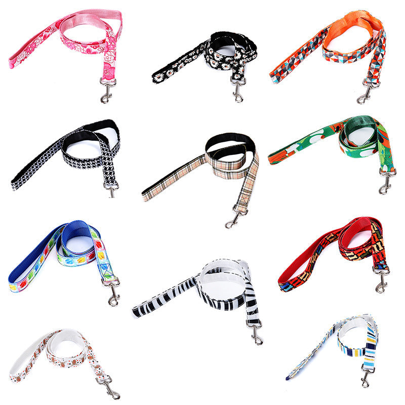 KFX-8404925 Multicolor Check Stripe Dog Leash - Imitation Nylon Traction Belt, 2.5cm x 12cm