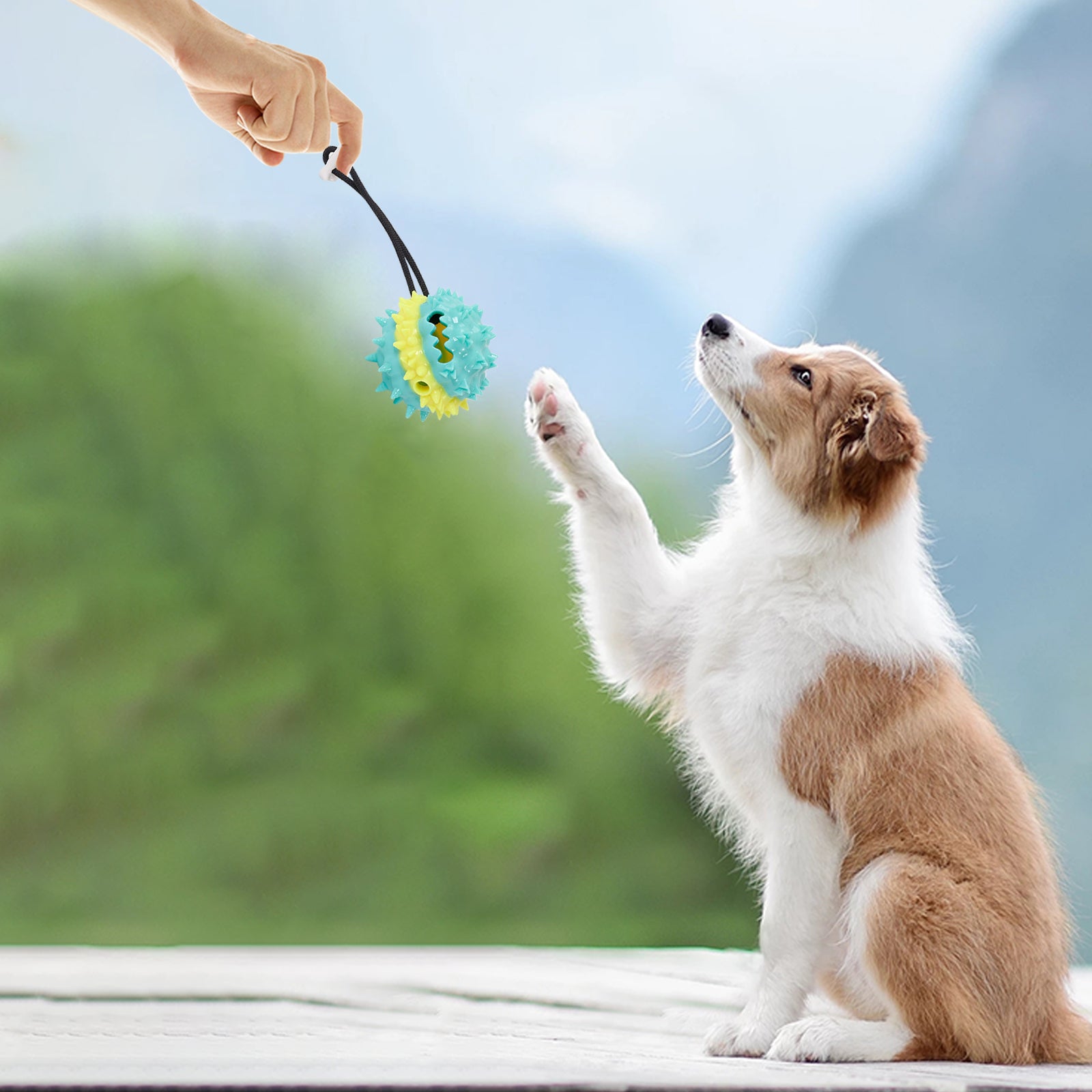 KFX-8412349 Interactive Multi-Color Pet Toy with Sound and Treat Dispensing Features