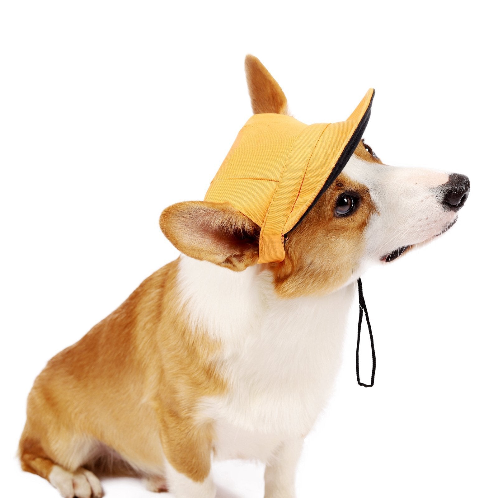 KFX-8420797 Fashionable Dog Baseball Hat for Small to Medium Pets - Casual Sun Protection Accessory