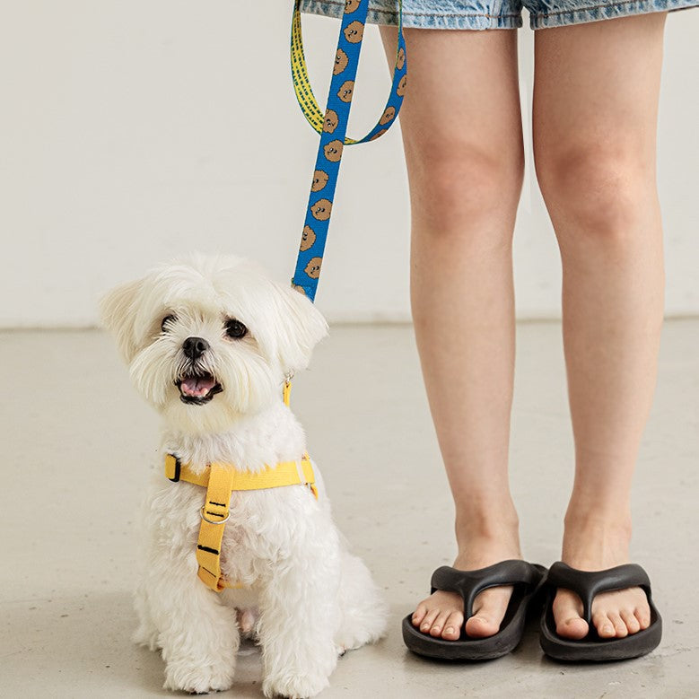 KFX-8426173 Cartoon Pattern Dog Leash in Teddy, Fox, and Koala Designs - 2m Polyester Traction Belt