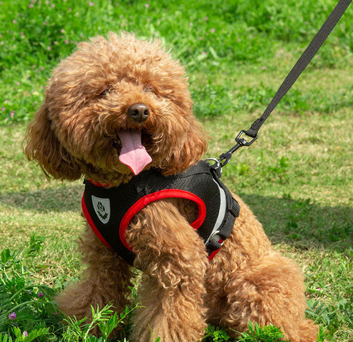 KFX-8428733 Light Reflecting Traction Belt Chest Harness with Breathable Mesh for Small and Medium Dogs