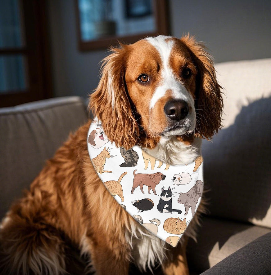 KFX-8435517 Reversible Polyester Pet Bandana in Various Patterns - Sizes S, M, L