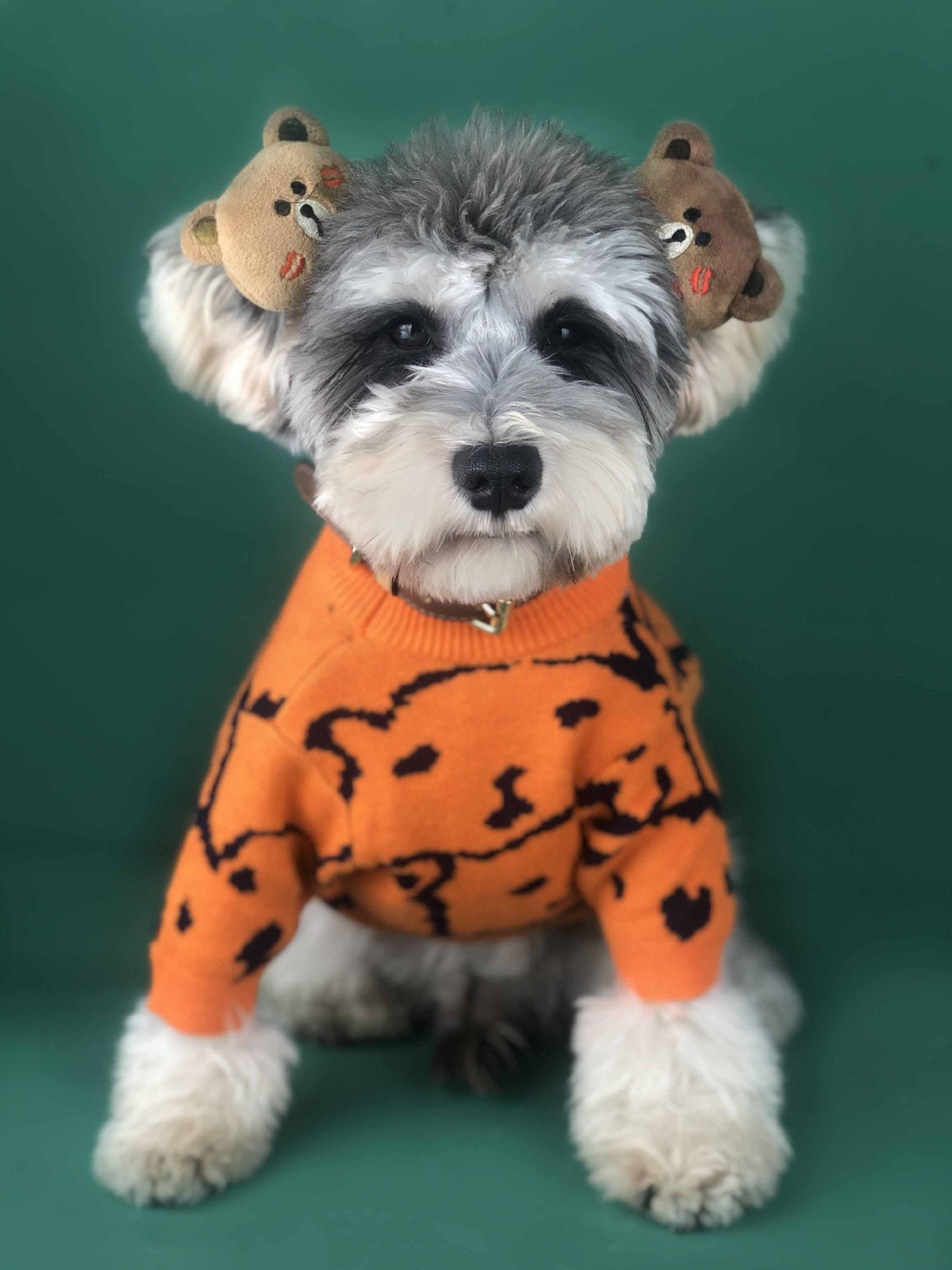 KFX-8435901 Cozy Wool Pullover Dog Sweater for Small Dogs in Orange, Available in Multiple Sizes