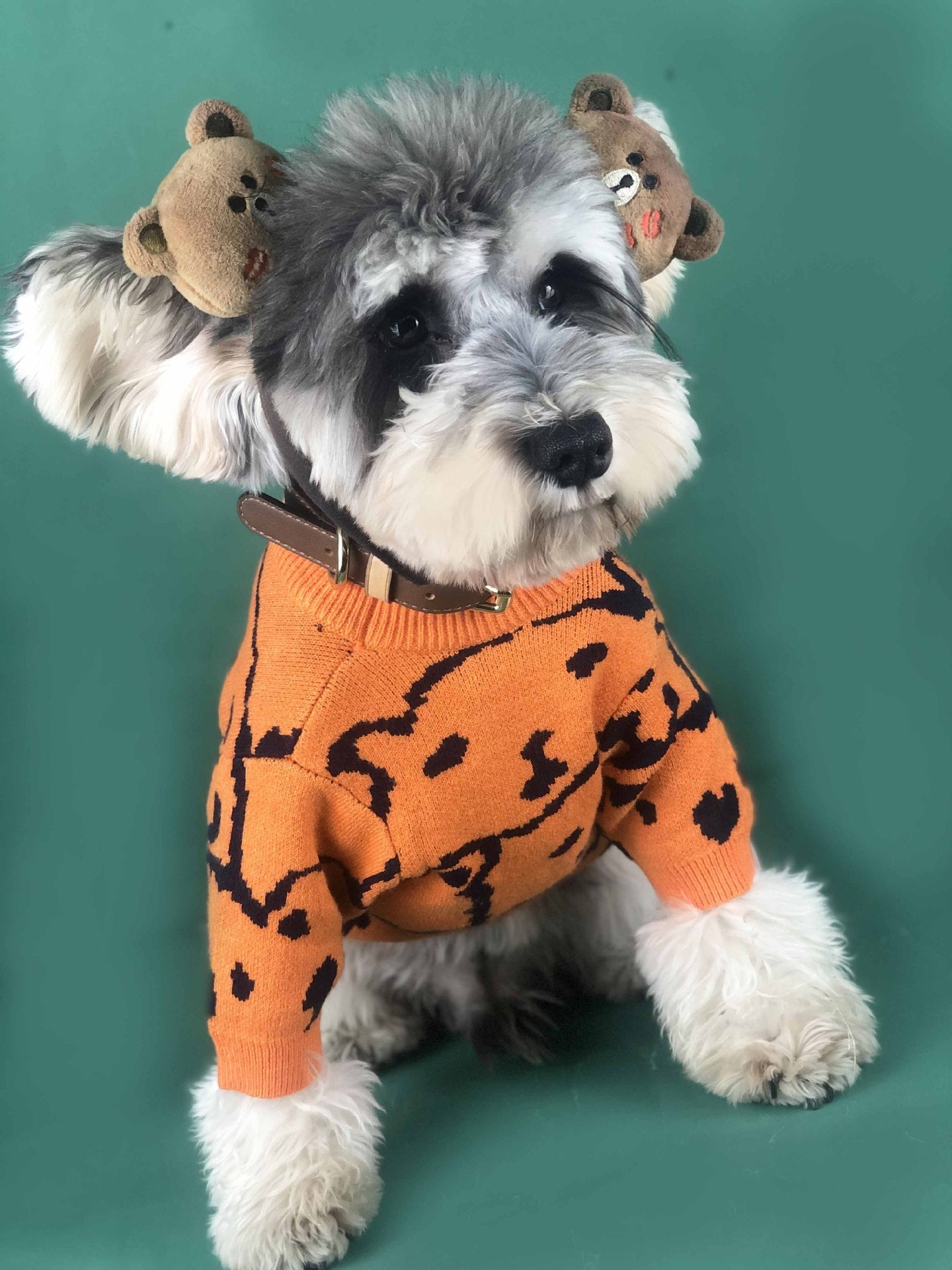 KFX-8435901 Cozy Wool Pullover Dog Sweater for Small Dogs in Orange, Available in Multiple Sizes