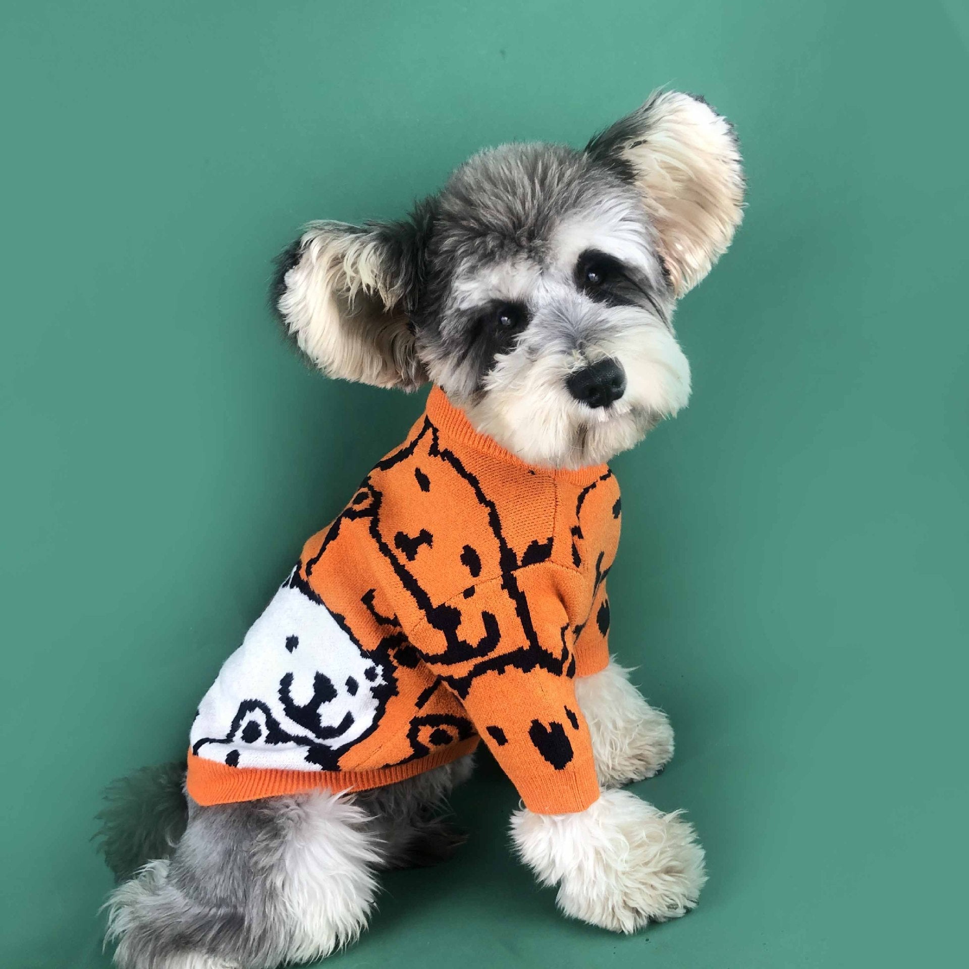KFX-8435901 Cozy Wool Pullover Dog Sweater for Small Dogs in Orange, Available in Multiple Sizes