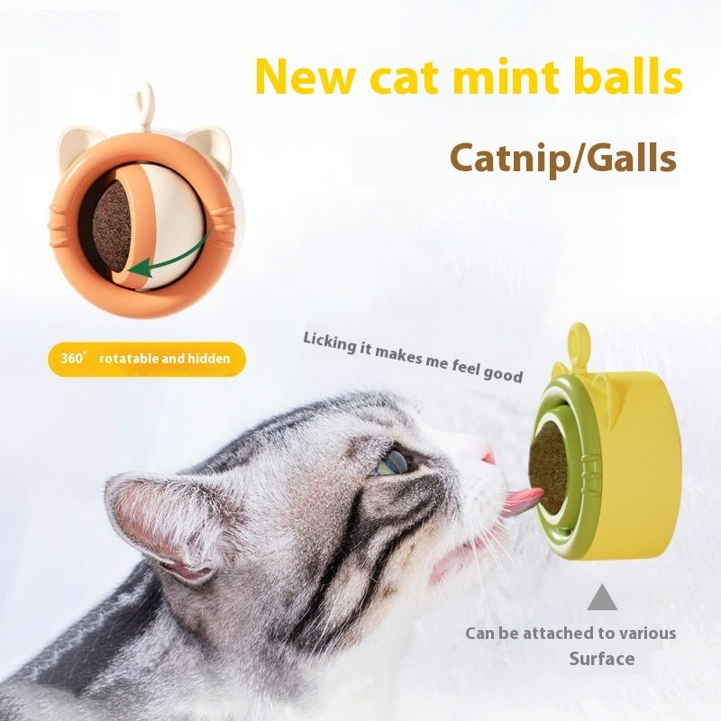 KFX-8436541 Cat Molar Catnip Fruit Toy in Various Colors for Cats