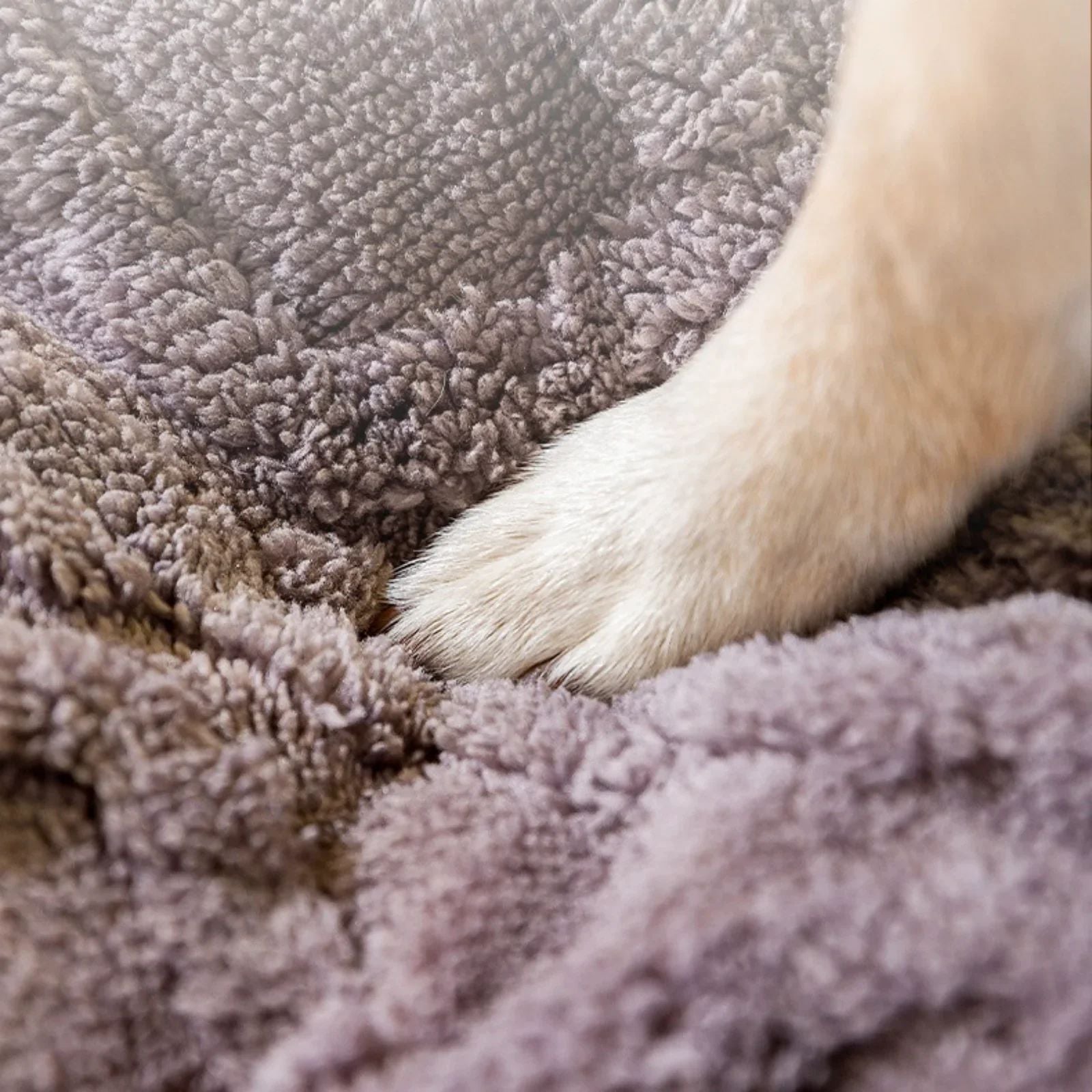 KFX-8439741 Cozy Non-Slip Dog Bed for All Sizes - Breathable Soft Mat for Pets