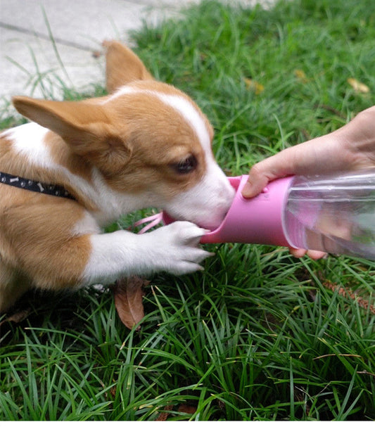 KFX-8455229 Portable Leak-Proof Pet Water Bottle with Food Dispenser for Traveling and Walking