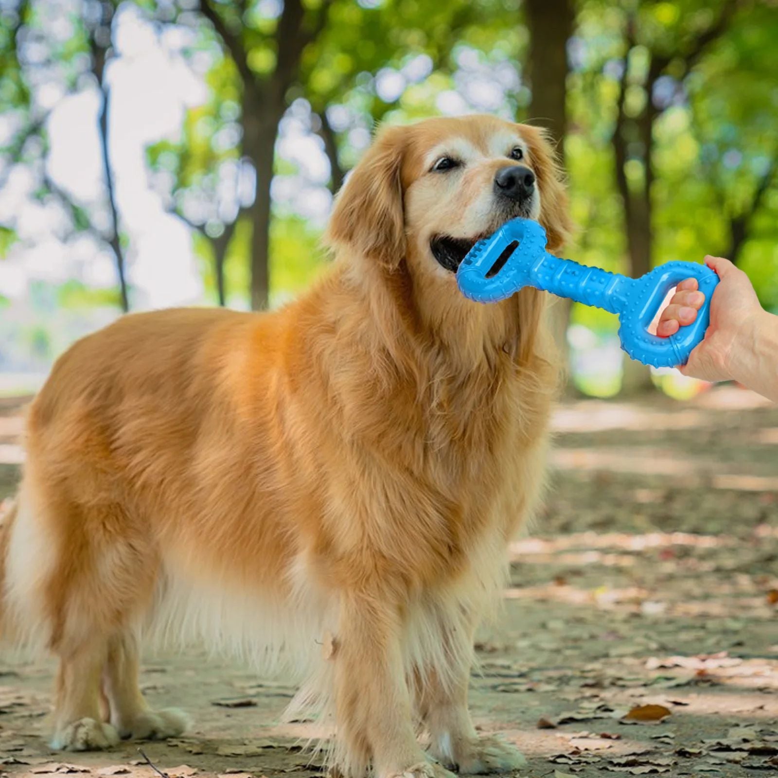 KFX-8463549 Durable Interactive Dog Bone Chew Toy for Aggressive Chewers with Pull Band