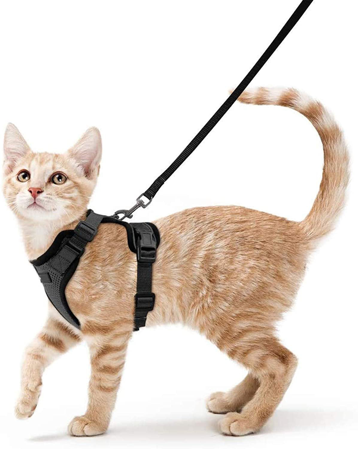 KFX-8475709 Adjustable Nylon Cat Vest with Anti-Breakaway Leash in Fashionable Style