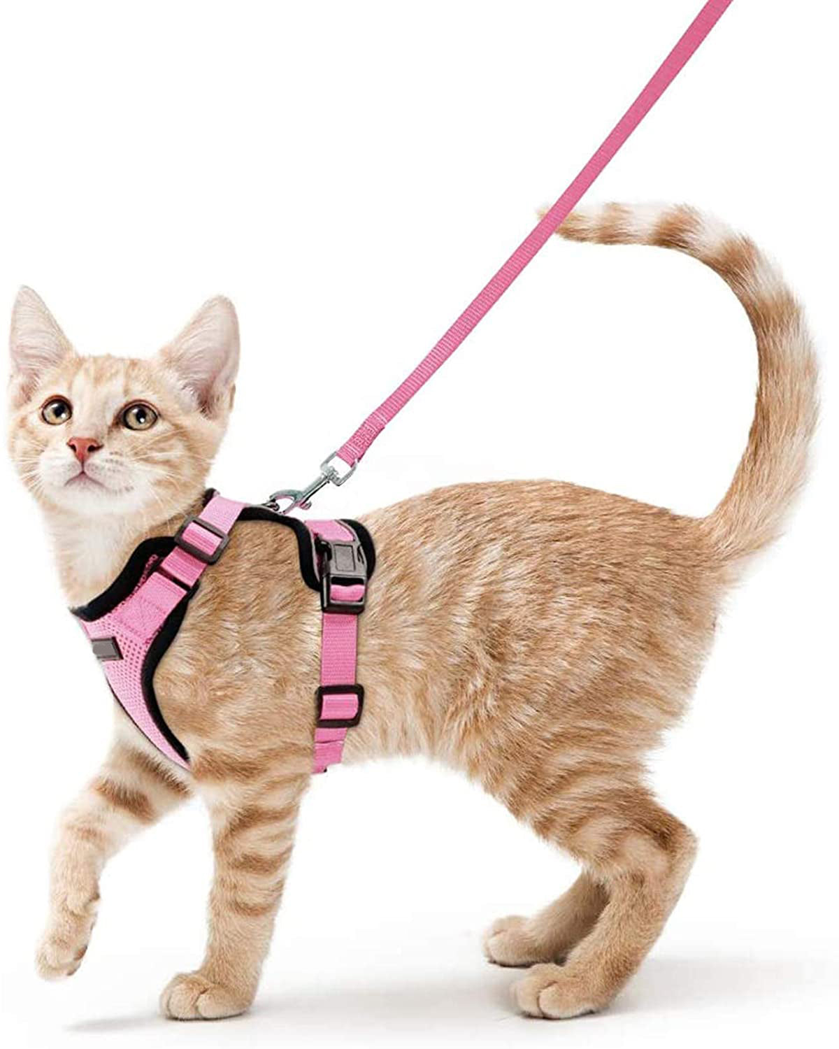 KFX-8475709 Adjustable Nylon Cat Vest with Anti-Breakaway Leash in Fashionable Style