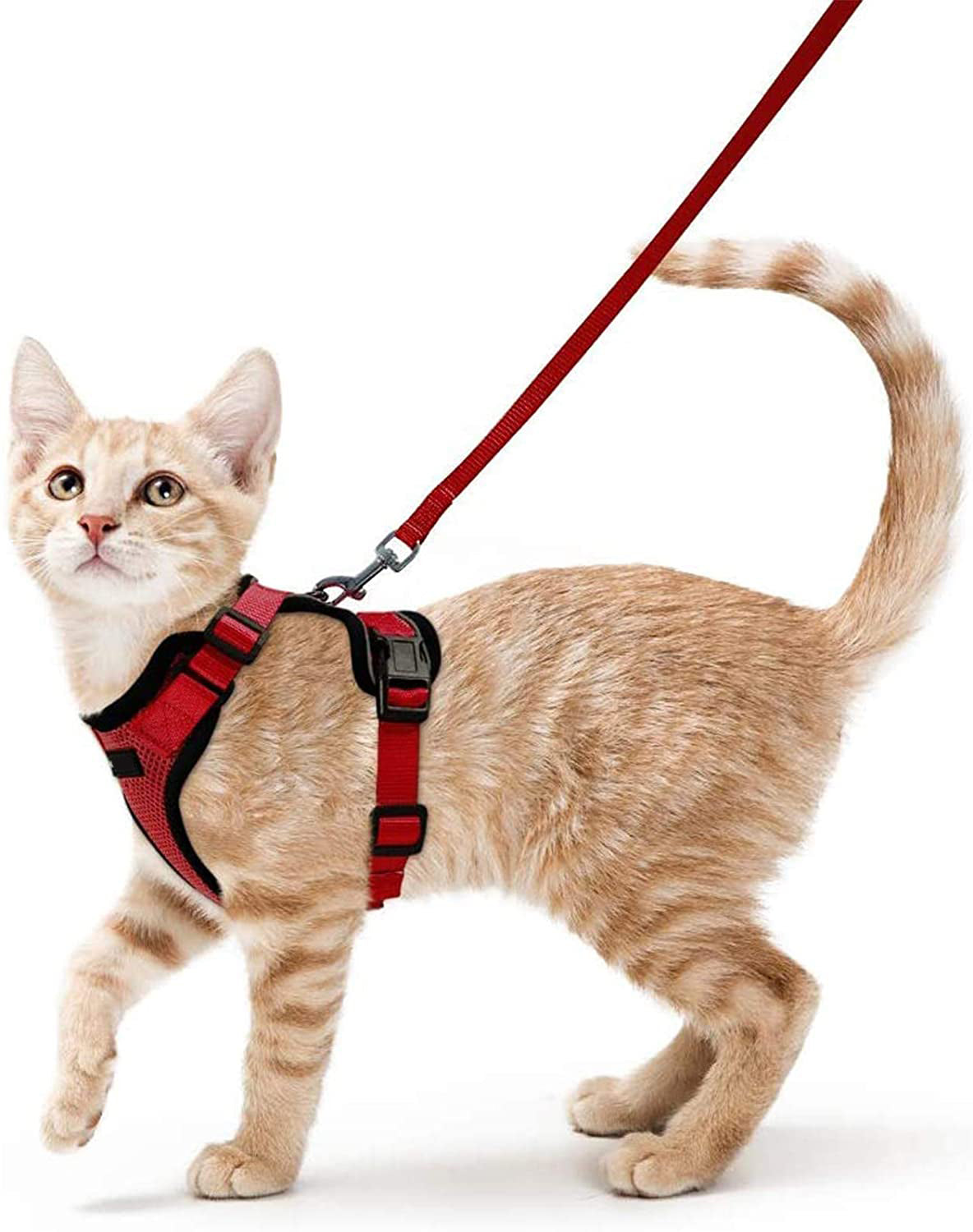 KFX-8475709 Adjustable Nylon Cat Vest with Anti-Breakaway Leash in Fashionable Style
