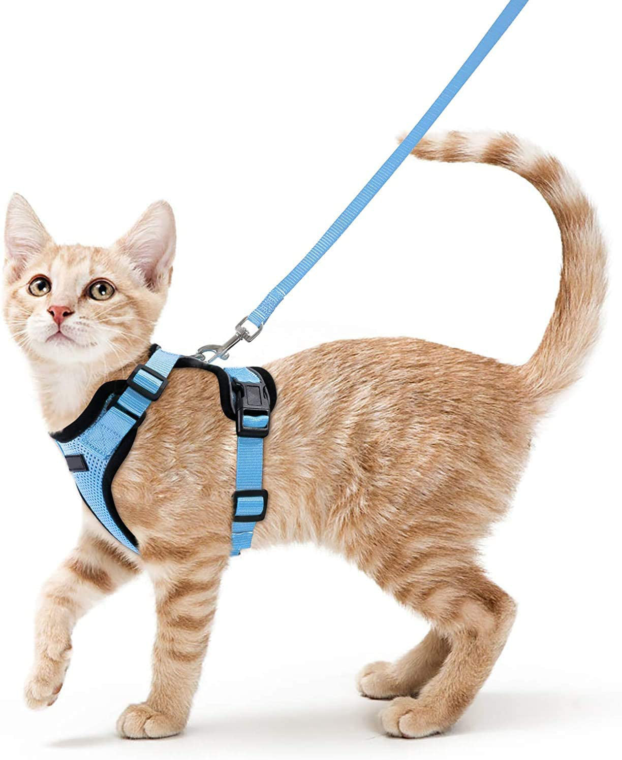 KFX-8475709 Adjustable Nylon Cat Vest with Anti-Breakaway Leash in Fashionable Style