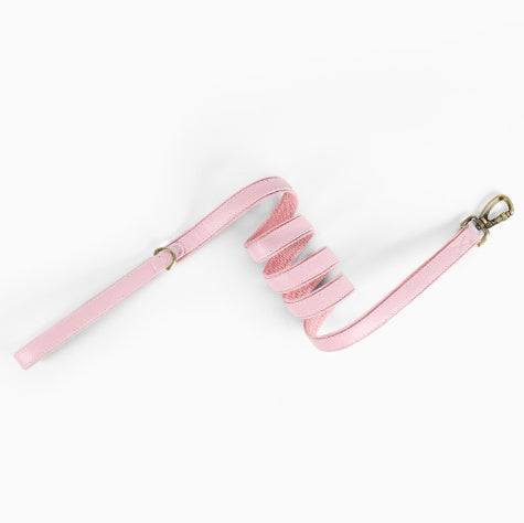 KFX-8476221 Durable Leather Pet Leash with Comfortable Grip for Training and Walking