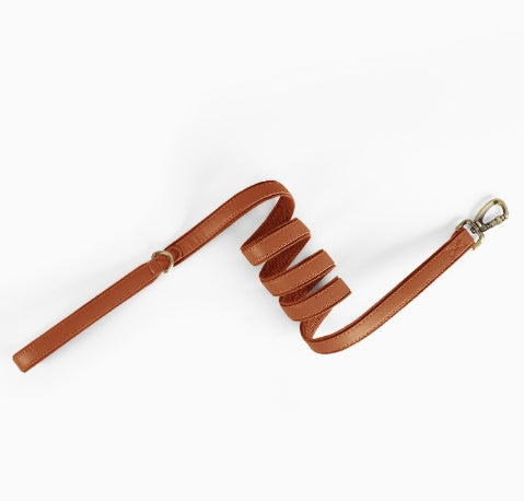 KFX-8476221 Durable Leather Pet Leash with Comfortable Grip for Training and Walking