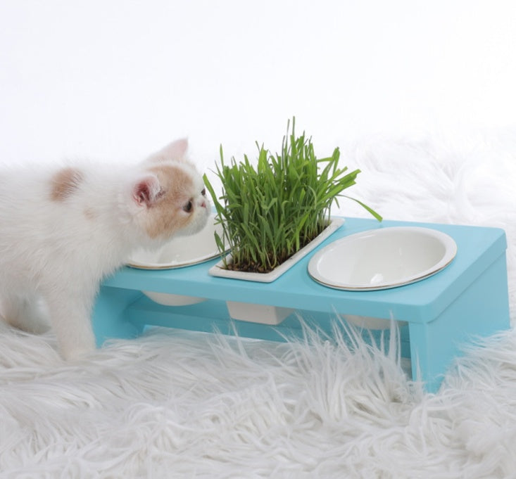 KFX-8476605 Elegant Cat Dish Rack with Bowls and Stents - Multiple Colors Available