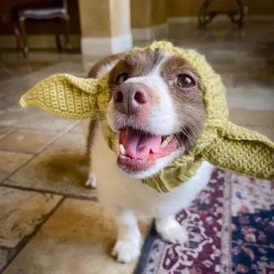 KFX-8486973 Warm Windproof Knitted Pet Dog Head Cover - Various Styles Available