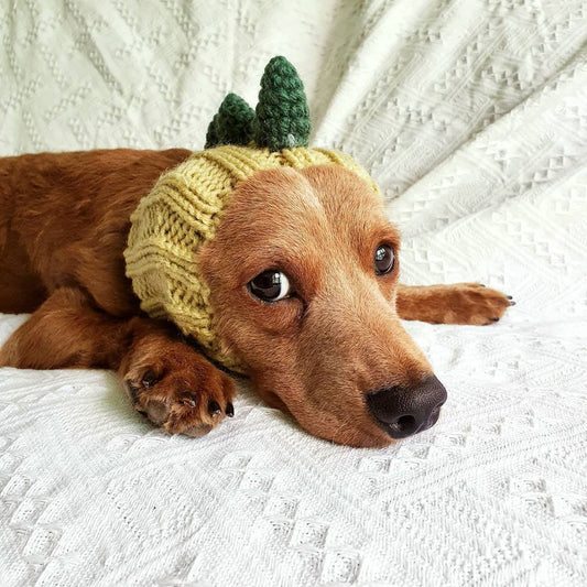 KFX-8486973 Warm Windproof Knitted Pet Dog Head Cover - Various Styles Available