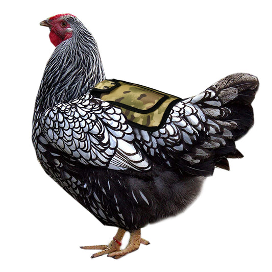 KFX-8487741 Adjustable Chicken Saddle for Poultry - Outdoor Feather Protection in Red, Blue, Purple, and CP Camouflage