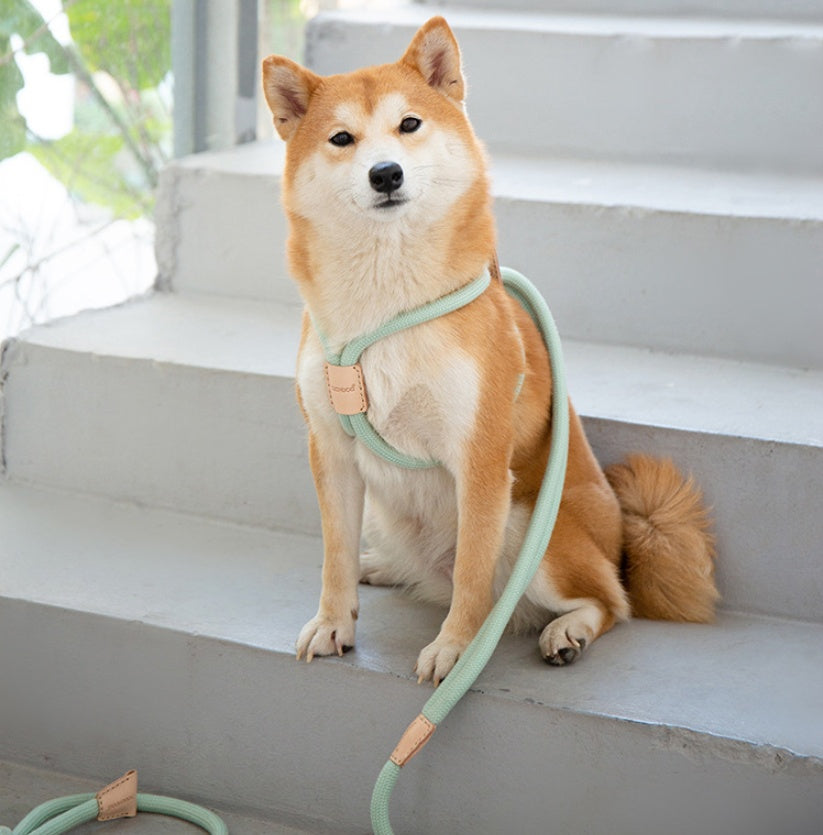 KFX-8491709 Integrated Round Rope Dog Leash in Green and Pink - Durable Cloth Traction Belt