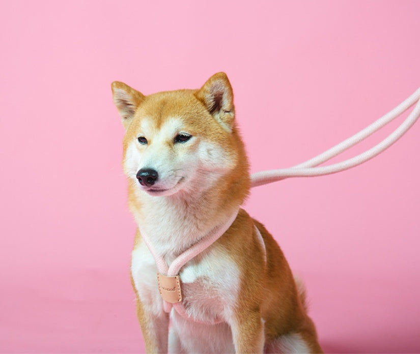 KFX-8491709 Integrated Round Rope Dog Leash in Green and Pink - Durable Cloth Traction Belt