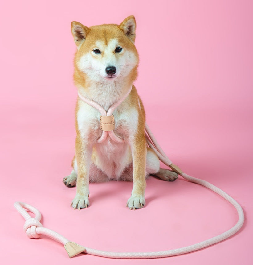KFX-8491709 Integrated Round Rope Dog Leash in Green and Pink - Durable Cloth Traction Belt