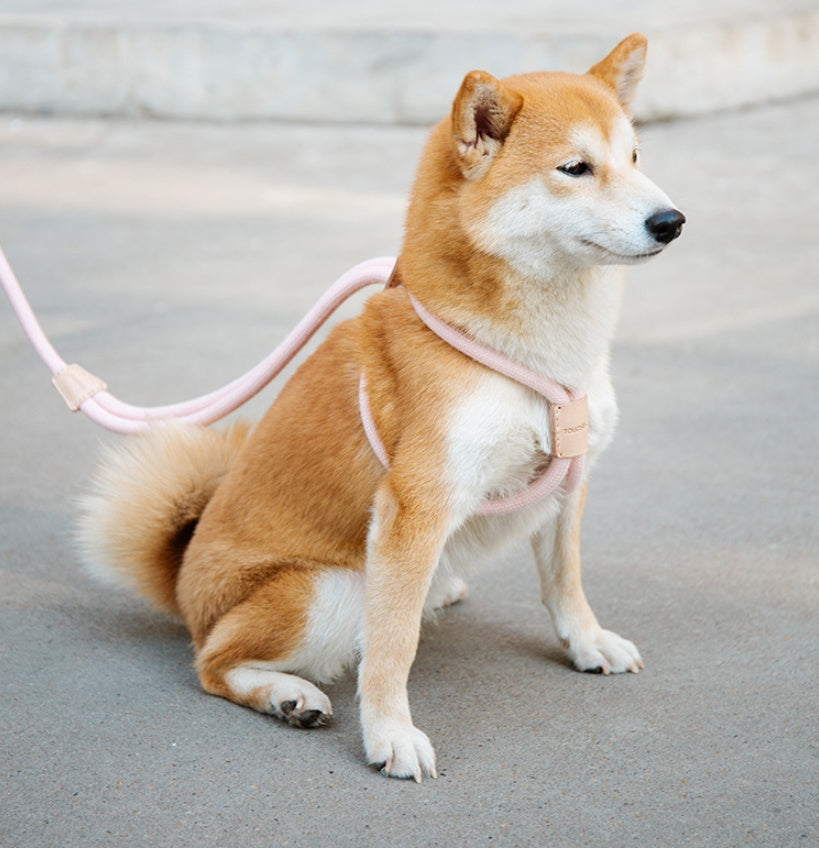 KFX-8491709 Integrated Round Rope Dog Leash in Green and Pink - Durable Cloth Traction Belt