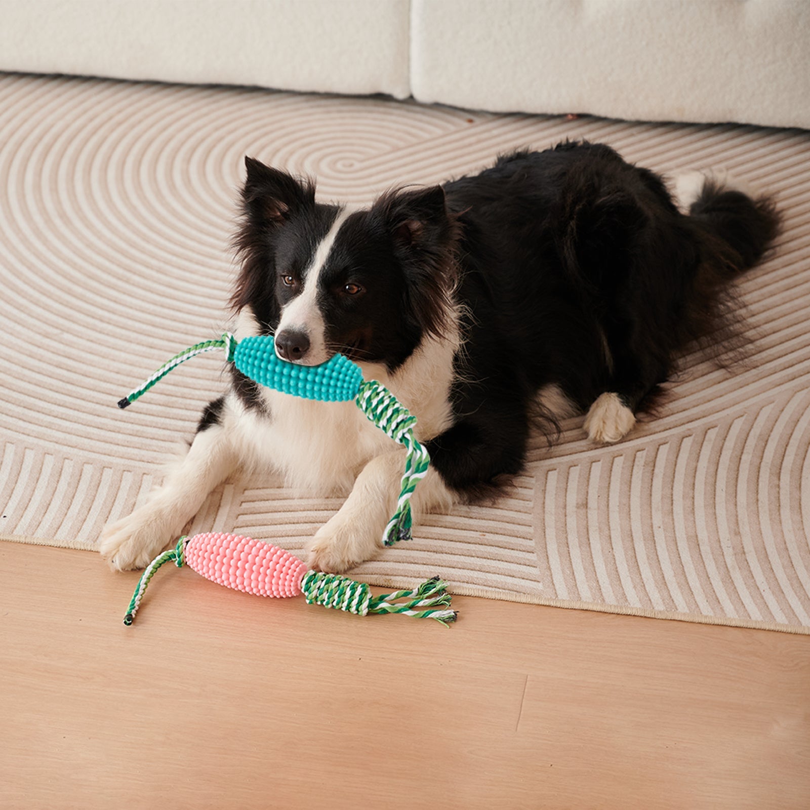 KFX-8510653 Interactive Zigzag Puppy Toothbrush Chew Toy for Dogs - Dental Cleaning & Anxiety Relief