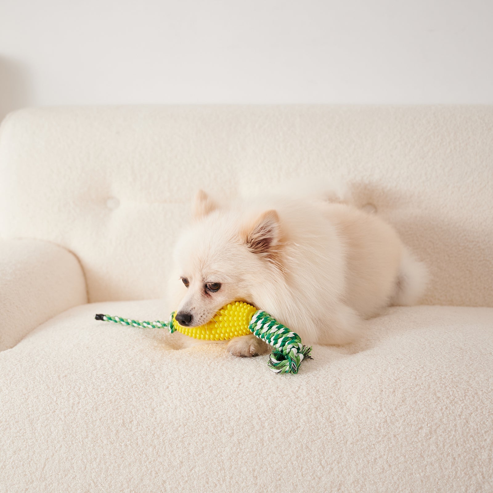 KFX-8510653 Interactive Zigzag Puppy Toothbrush Chew Toy for Dogs - Dental Cleaning & Anxiety Relief