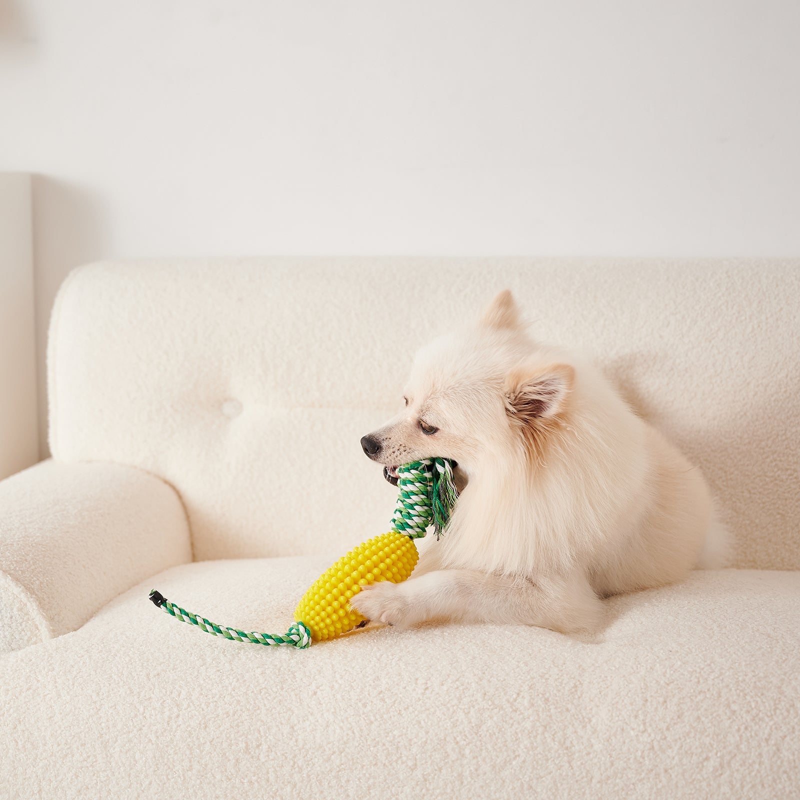 KFX-8510653 Interactive Zigzag Puppy Toothbrush Chew Toy for Dogs - Dental Cleaning & Anxiety Relief