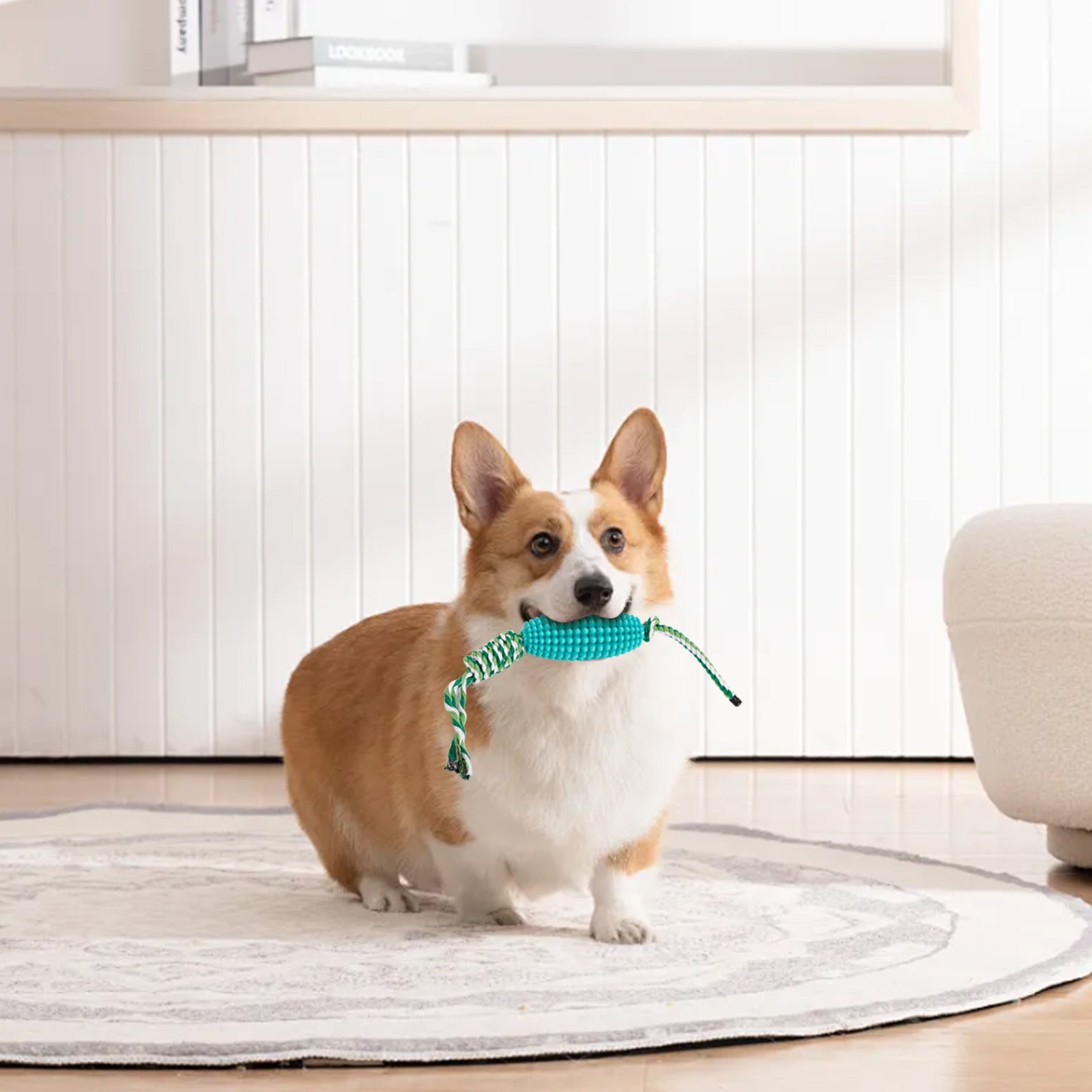 KFX-8510653 Interactive Zigzag Puppy Toothbrush Chew Toy for Dogs - Dental Cleaning & Anxiety Relief